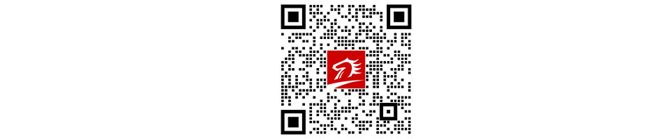 2025年揭阳市“春风行动”暨“南粤春暖”新春招聘会(图2)