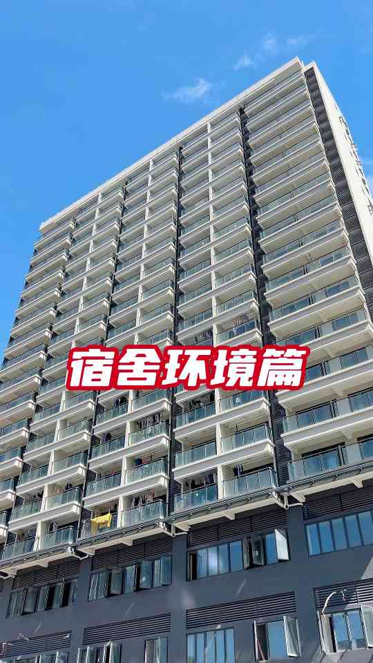 智能包装设备制造商引领行业创新与自动化发展(图2)